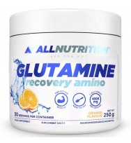 GLUTAMINE RECOVERY AMINO 250 g ALLNUTRITION